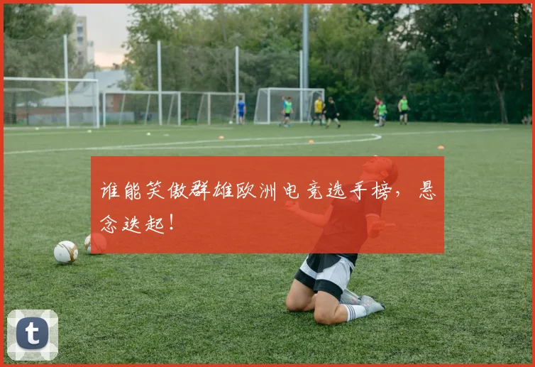 谁能笑傲群雄欧洲电竞选手榜,悬念迭起!